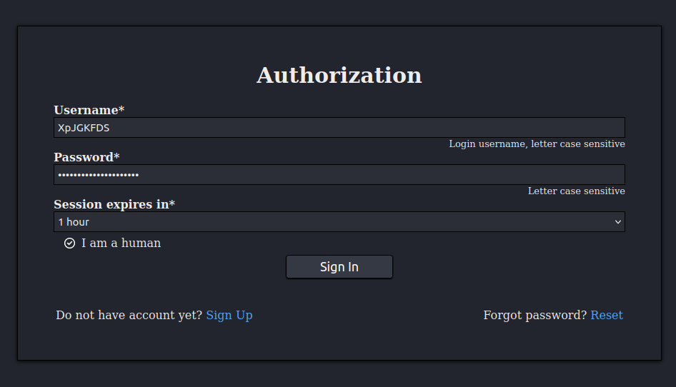 Secure Login Interface